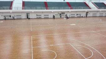 品牌木地板動態 國內近期運動木地板價格動態