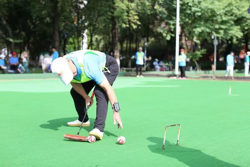 門球單雙打爭霸賽結束,這幾位高手奪冠