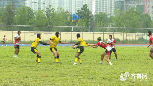 全民健身 共享奧運 橄 把小眾玩出彩 山東橄欖球夠 野蠻