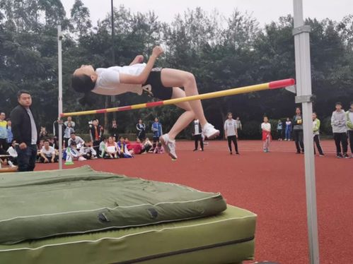 新川高一教師團隊集結(jié)完畢，初升高銜接盛會邀您共襄其舉