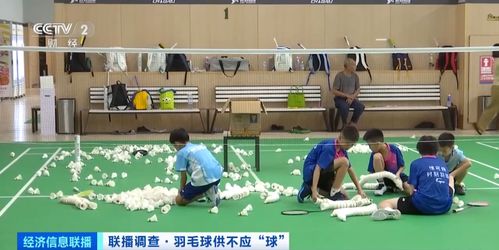 全民運動熱潮 價格狂飆，熱銷品類一搶而空，2.5億人參與引爆體育新風尚