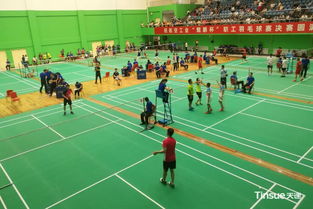 科創引領，筑夢未來 大型國企與科研機構的協同創新實踐與體育精神融合之路