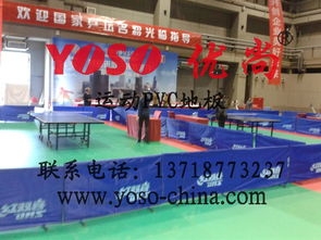 體育運(yùn)動(dòng)產(chǎn)品供應(yīng) 市場(chǎng)動(dòng)態(tài)與價(jià)格策略