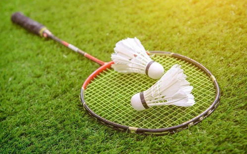 熱烈祝賀廣東世紀城羽毛球俱樂部成為中國羽協羽毛球運動水平測試機構