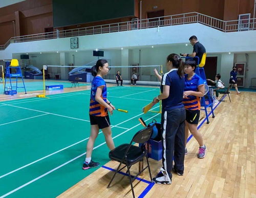 海淀區業余體校羽毛球隊在北京市青少年錦標賽中斬獲佳績，展現體教融合新成果